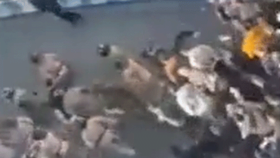 anti-iran-regime-protests-grow-across-country-as-trump-admin-boosts-demonstrators-offering-support