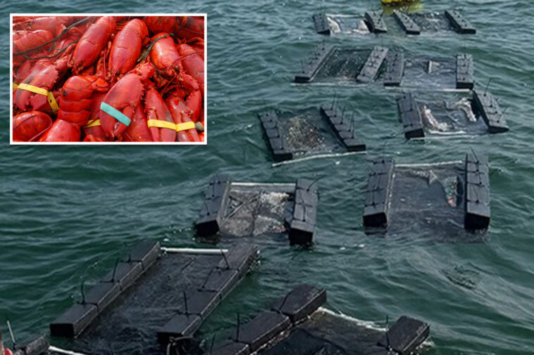 $400k-worth-of-stolen-costco-lobster-meat-being-investigated-in-connection-to-other-new-england-seafood-thefts