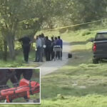 more-than-30-bodies-recovered-from-houston-area-bayous-this-year,-sparking-serial-killer-fears