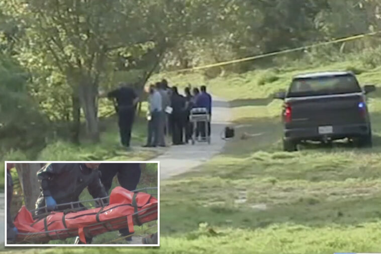more-than-30-bodies-recovered-from-houston-area-bayous-this-year,-sparking-serial-killer-fears
