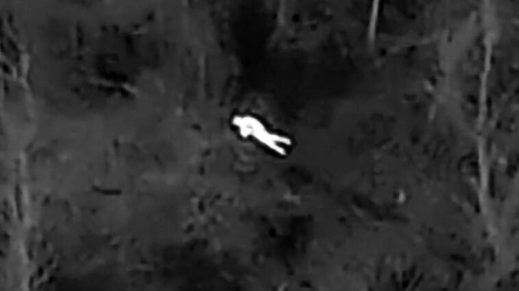 missing-elderly-person-found-in-bitter-cold-woods-after-police-deploy-thermal-imaging-drone