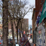 trump’s-deputies-freeze-child-care-payments-to-minnesota-amid-alleged-somali-fraud