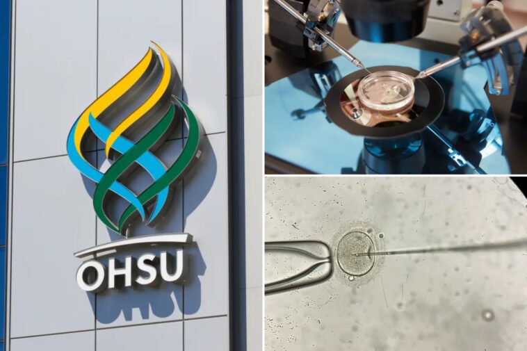 hospital-inseminates-woman-with-wrong-man’s-sperm-–-family-only-discovers-blunder-43-years-later