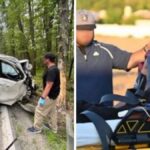 ice’s-most-heroic-moments-of-2025