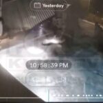 wild-video:-speeding-car-crashes-through-backyard-wall,-flips-over,-ejects-driver-into-pool