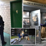 boy,-15,-shot-in-the-head,-critically-hurt-in-lobby-of-nyc-public-housing-building:-cops