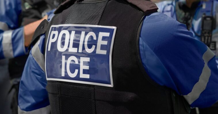 ice-accuses-mainstream-media-reporter-of-‘inciting-violence-against-federal-agents’-with-controversial-post