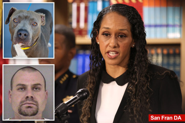 san-fran-man-accused-of-strangling-his-pit-bull-to-death-‘in-public-view’-charged-with-felony