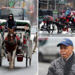 nyc’s-horse-carriages-must-get-city-vet-inspection-or-have-license-revoked:-11th-hour-adams-order