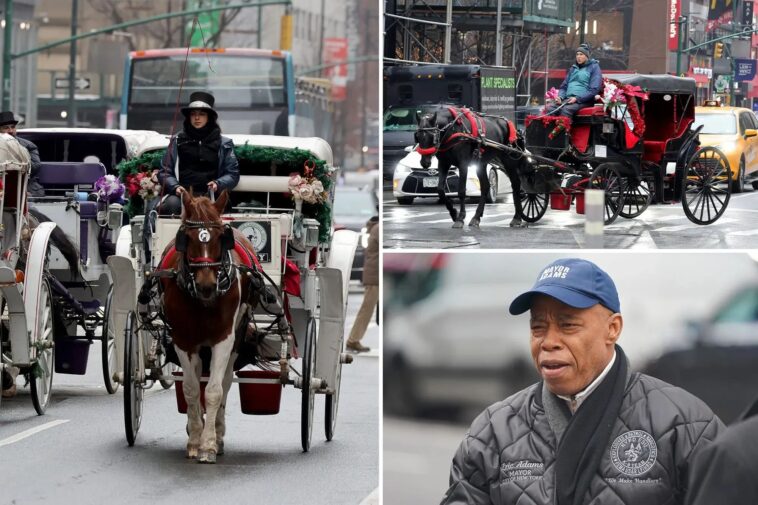 nyc’s-horse-carriages-must-get-city-vet-inspection-or-have-license-revoked:-11th-hour-adams-order