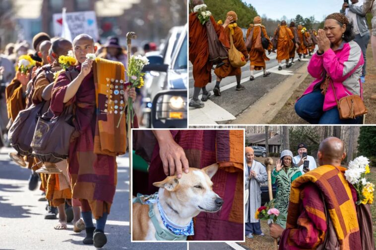 buddhist-monks-—-and-their-pup-— persist-in-peace-walk-across-us-despite-injuries