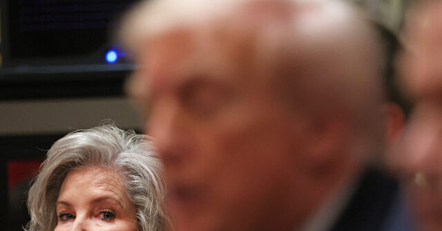 susie-wiles:-trump-will-campaign-for-2026-midterms-‘like-it’s-2024-again’