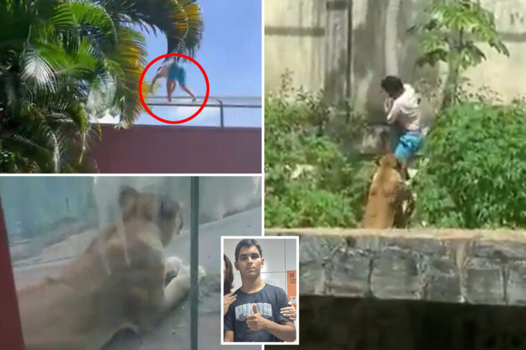 teen-who-dreamed-of-working-with-animals-mauled-to-death-by-lion-after-climbing-into-zoo-enclosure