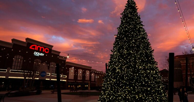 biblical-film-‘david’-punches-above-its-weight,-outperforms-hollywood-heavyweights-at-box-office