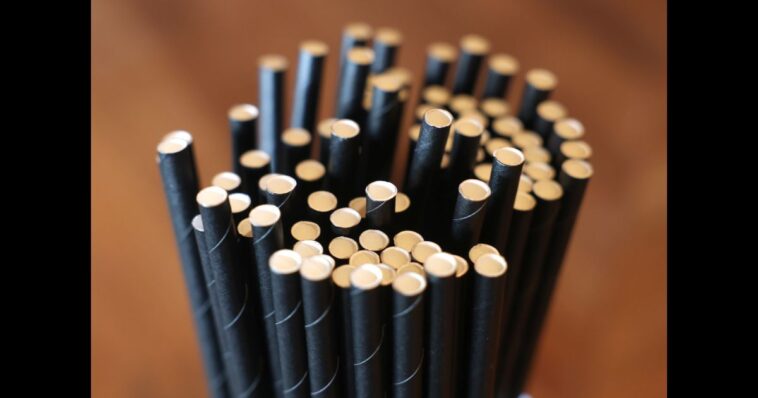 florida-moves-to-ban-paper-straws-as-‘concerning-health-risks’-emerge