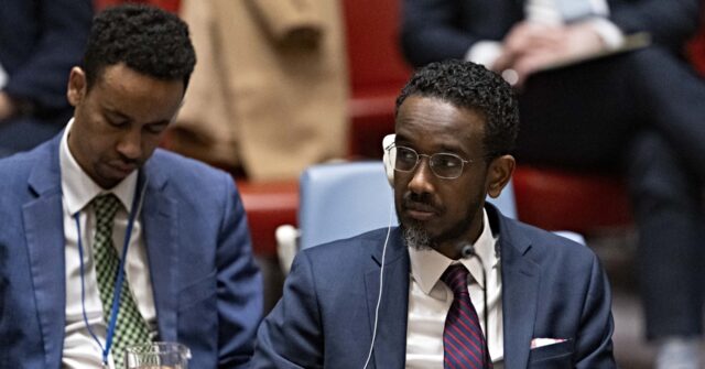 somalia-assumes-rotating-presidency-of-un.-security-council