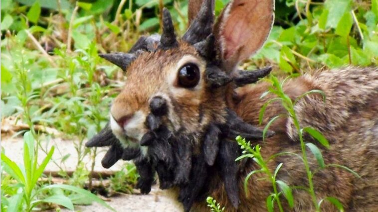 dan-gainor:-the-7-craziest-stories-of-2025.-you-won’t-believe-what-made-this-list