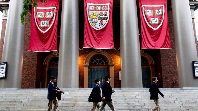 harvard-alum-blasts-dei-policies-after-‘woke’-values-drive-longtime-professor’s-exit