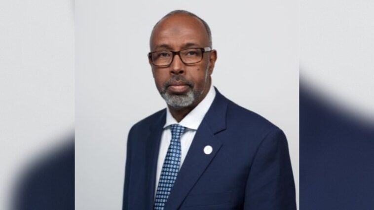 report:-somalia’s-un-ambassador,-who-previously-oversaw-adult-medicaid,-also-served-as-ceo-at-a-company-reportedly-placed-on-a-federal-fraud-exclusion-list-and-banned-from-receiving-medicaid-funds