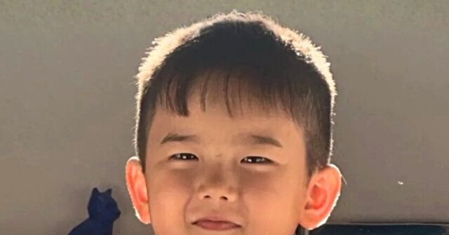 ‘we-trust-in-the-lord’:-catholic-influencer’s-5-year-old-son-dies-after-battle-with-flu