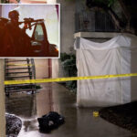 heroic-off-duty-ice-agent-guns-down-active-shooter-in-la