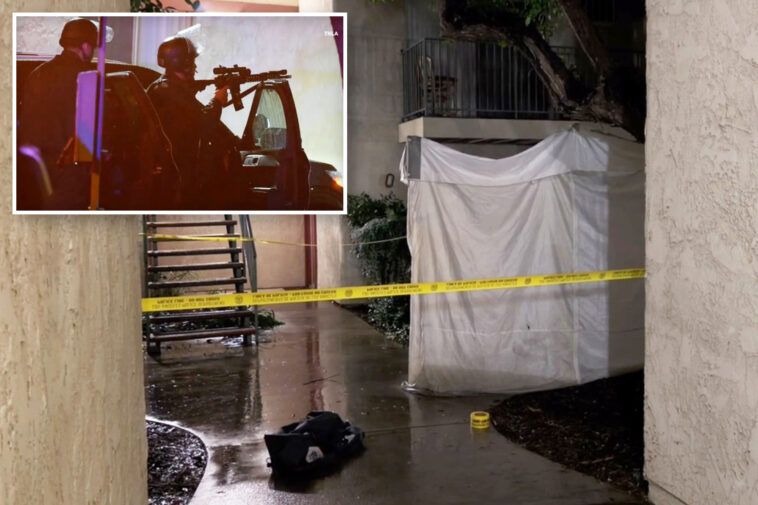 heroic-off-duty-ice-agent-guns-down-active-shooter-in-la