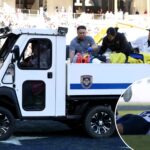 rice-safety-daveon-hook-carted-off-field-in-scary-scene-at-armed-forces-bowl