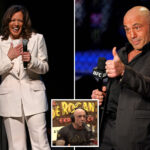joe-rogan-defends-kamala-harris-after-guest-doubts-she-could-have-handled-3-hour-podcast-like-trump