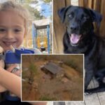 florida-boy-johnathan-boley-found-dead-after-he-went-missing-with-his-dog-in-alabama-on-new-year’s-eve