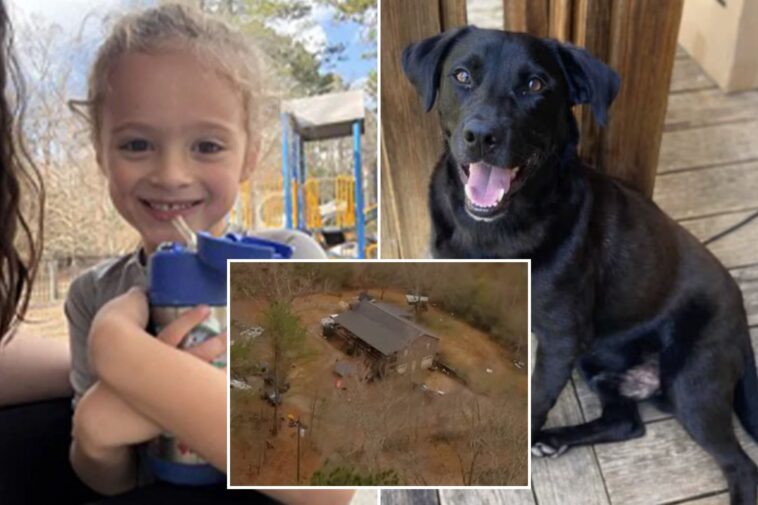 florida-boy-johnathan-boley-found-dead-after-he-went-missing-with-his-dog-in-alabama-on-new-year’s-eve