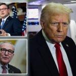 dems-are-eyeing-these-battleground-races-to-seize-control-of-congress-in-2026