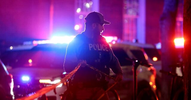 suspect-allegedly-points-rifle-at-off-duty-ice-officer,-gets-shot-dead