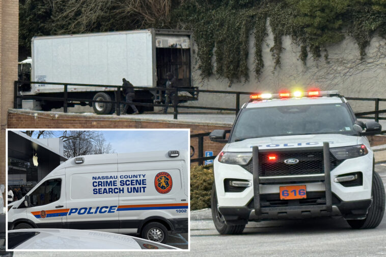 gun-wielding-goons-take-off-with-boxes-of-apple-loot-during-brazen-heist-at-bougie-long-island-mall