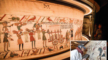 researcher-reveals-a-surprising-new-theory-about-history’s-most-famous-tapestry