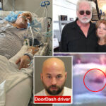 michigan-veteran,-75,-left-in-coma-after-doordash-driver-allegedly-punches-him-for-telling-him-to-slow-down