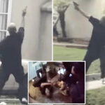 gunman-fires-at-lapd-helicopter-before-police-dog-takes-him-down,-wild-new-video-shows