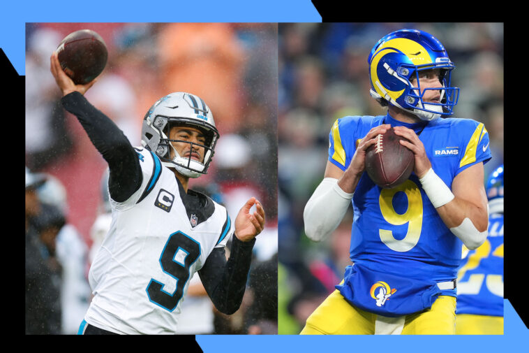 what-do-the-cheapest-tickets-cost-for-the-panthers-rams-wild-card-game?