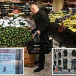 nyc-wegmans’-storing-shoppers’-facial-scans-and-biometric-data-to-id-customers,-boost-security:-‘we-understand-concerns’