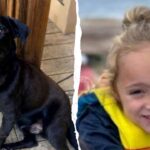 missing-4-year-old-florida-boy-found-dead-after-massive-3-day-search-in-alabama-woods