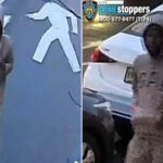 nypd-hunt-for-juvenile-brutes-who-fractured-elderly-woman’s-elbow-in-central-park
