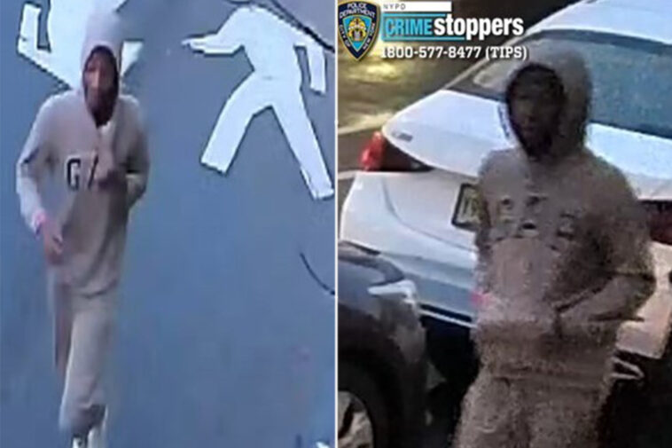 nypd-hunt-for-juvenile-brutes-who-fractured-elderly-woman’s-elbow-in-central-park