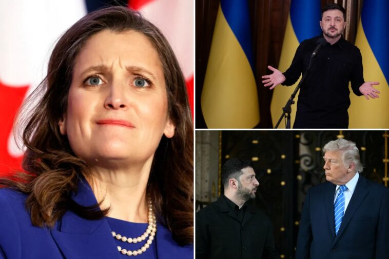 zelensky-picks-new-adviser-trump-called-‘toxic’-and-‘terrible’-ahead-of-paris-talks-with-witkoff,-kushner