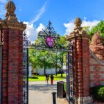 harvard-president-criticizes-faculty-activism,-claims-university-bringing-objectivity-back-to-classroom