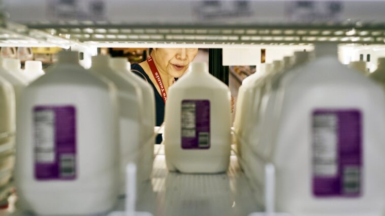 popular-grocery-store-chain-uses-biometric-surveillance-on-shoppers,-raising-privacy-concerns