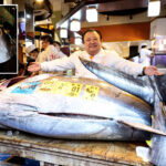 giant-tuna-the-size-of-a-motorcycle-sold-to-‘tuna-king’-for-record-$3.2-million-at-auction