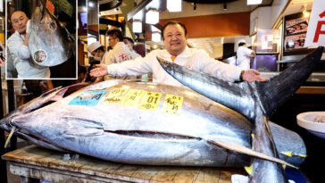giant-tuna-the-size-of-a-motorcycle-sold-to-‘tuna-king’-for-record-$3.2-million-at-auction