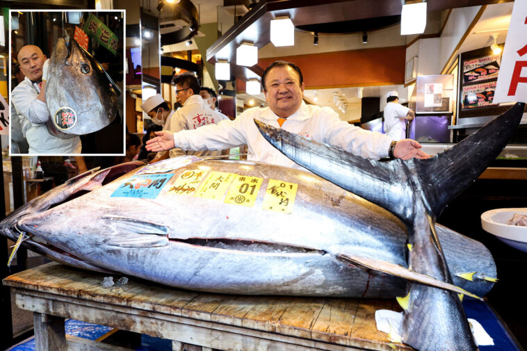giant-tuna-the-size-of-a-motorcycle-sold-to-‘tuna-king’-for-record-$3.2-million-at-auction