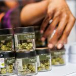 chicago-catholic-university-offers-courses-on-running-cannabis-dispensaries