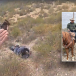 watch:-horse-mounted-officers-capture-previously-deported-child-predator-at-border