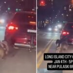 heartless-monster-drags-2-dogs-behind-car-in-front-of-shocked-nyc-bystanders,-disturbing-video-shows